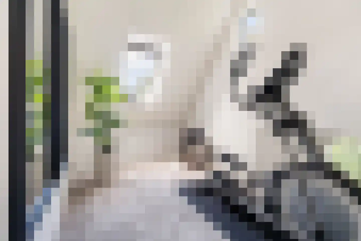 Mauritsweg 12 Ridderkerk thumbnail 63