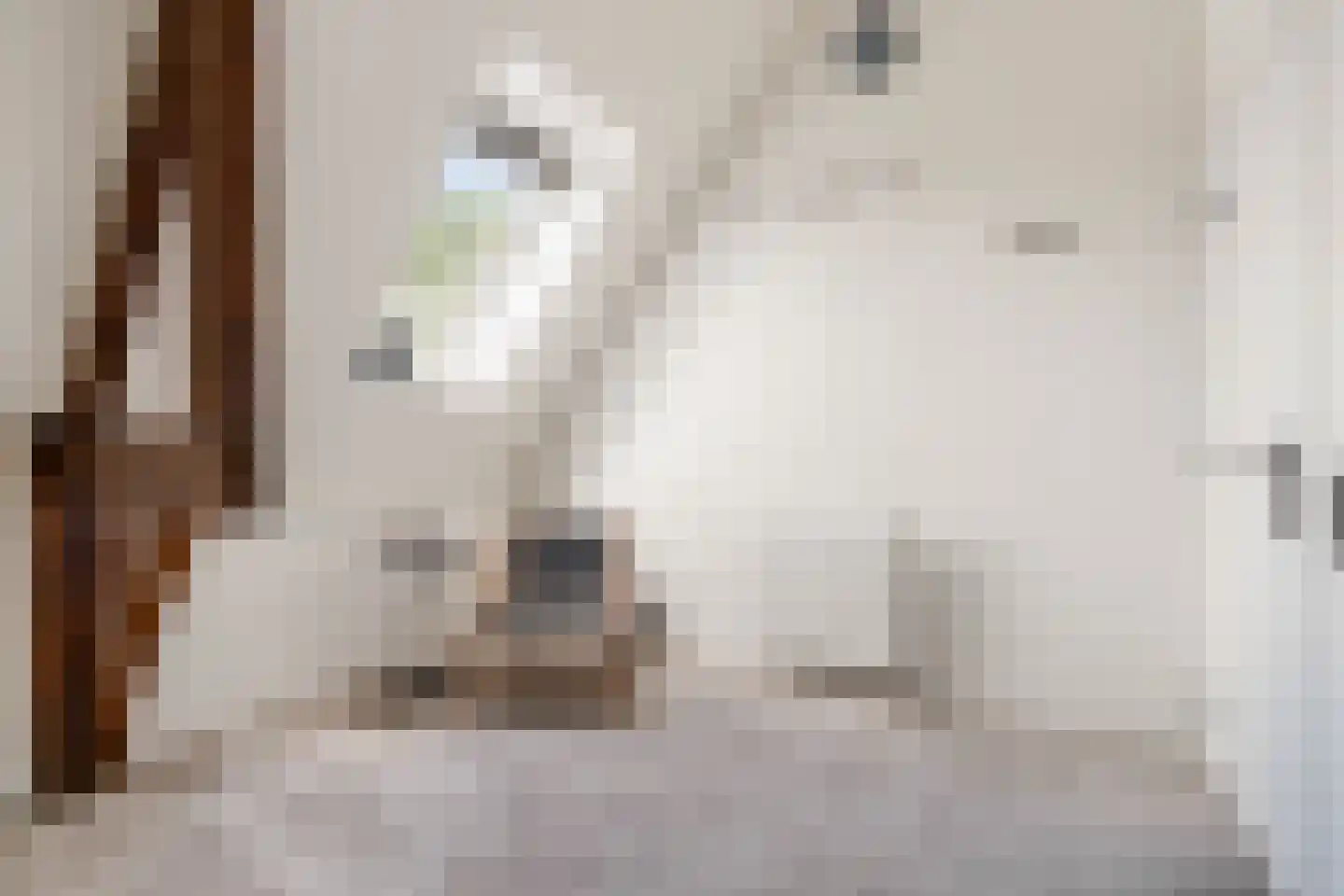 Mauritsweg 12 Ridderkerk thumbnail 65