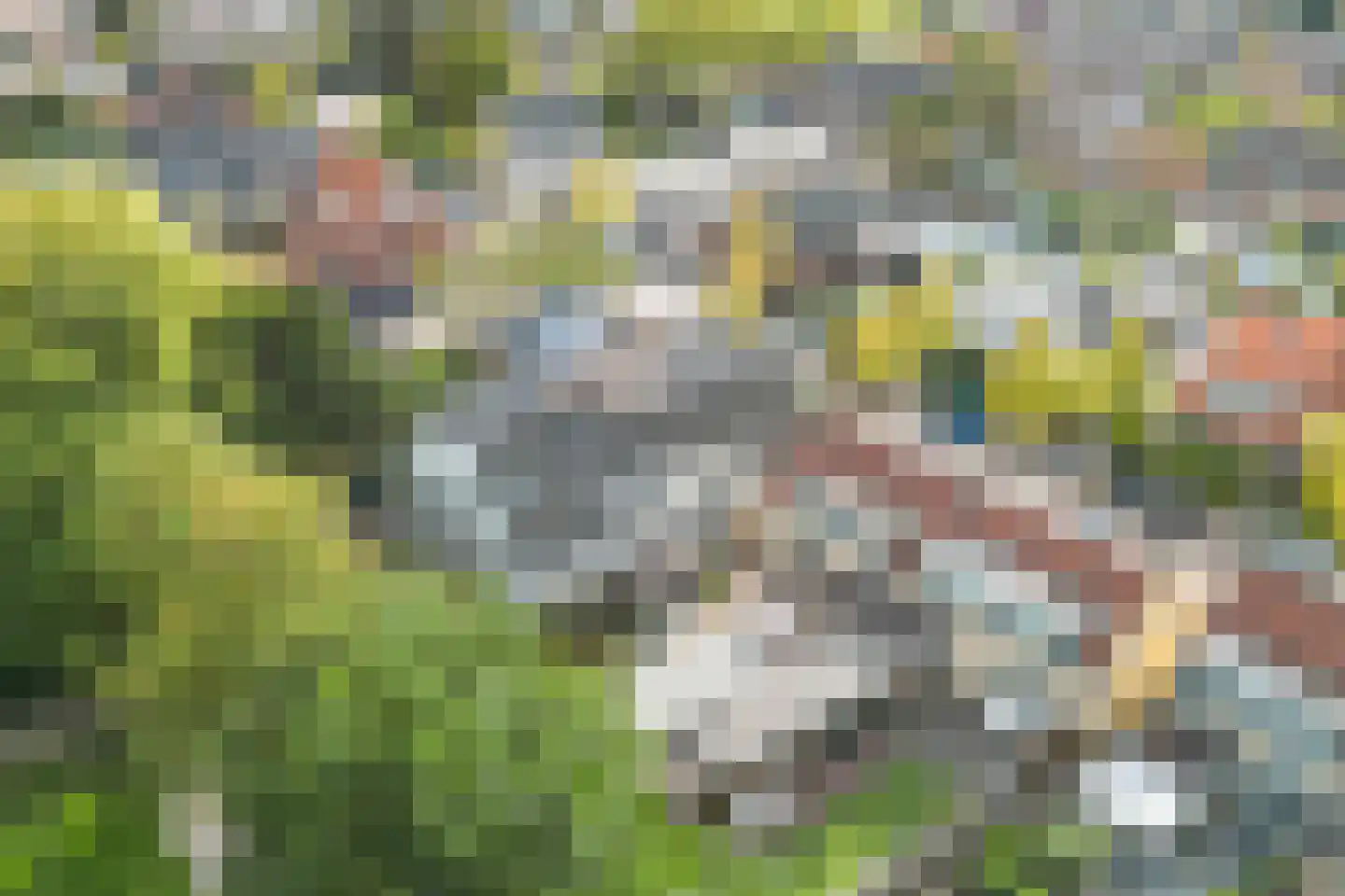 Mauritsweg 12 Ridderkerk thumbnail 66