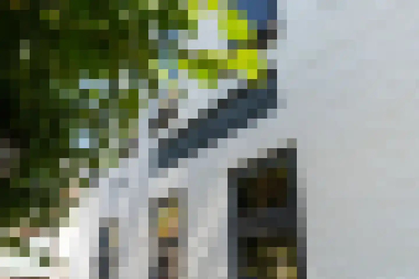 Mauritsweg 12 Ridderkerk thumbnail 7