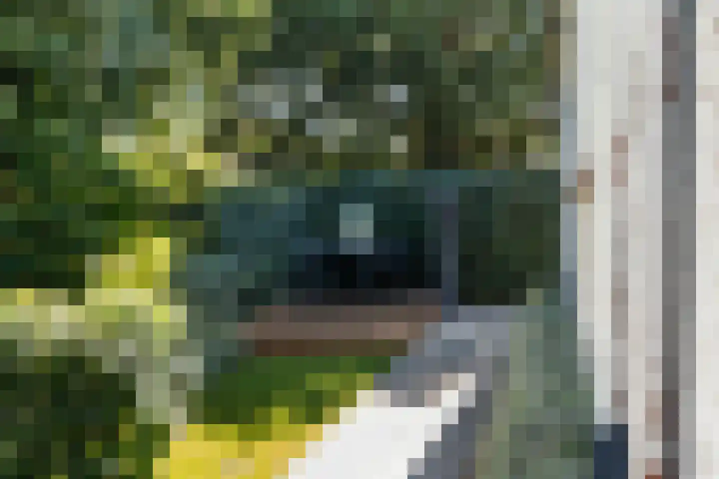Mauritsweg 12 Ridderkerk thumbnail 70