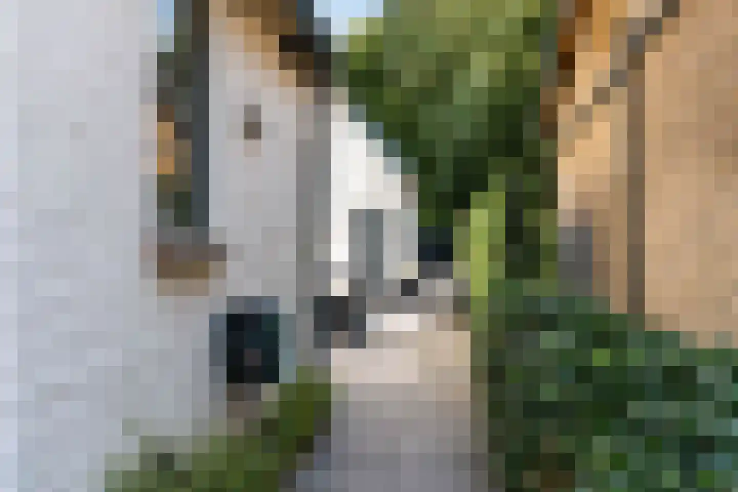 Mauritsweg 12 Ridderkerk thumbnail 74