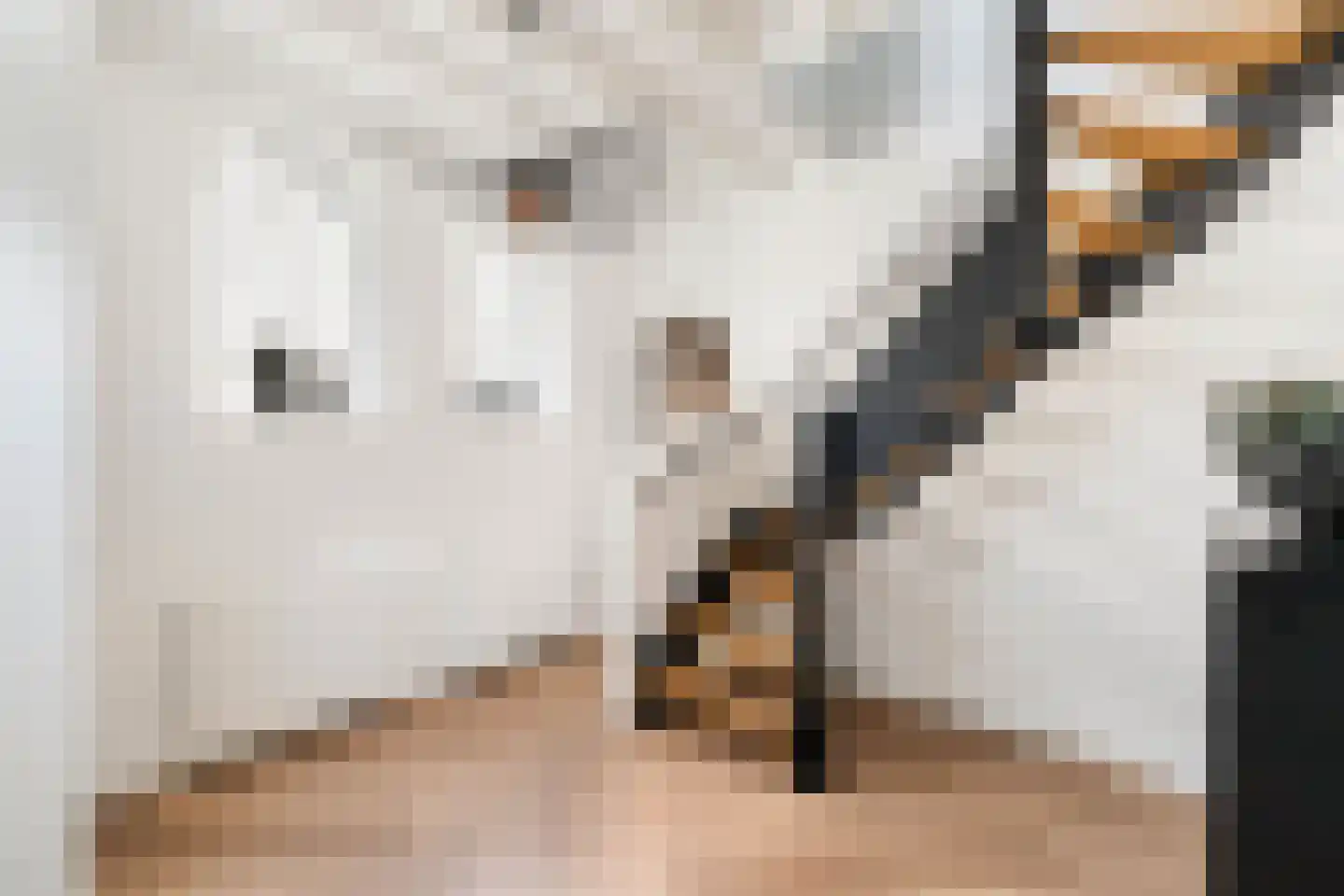 Mauritsweg 12 Ridderkerk thumbnail 8
