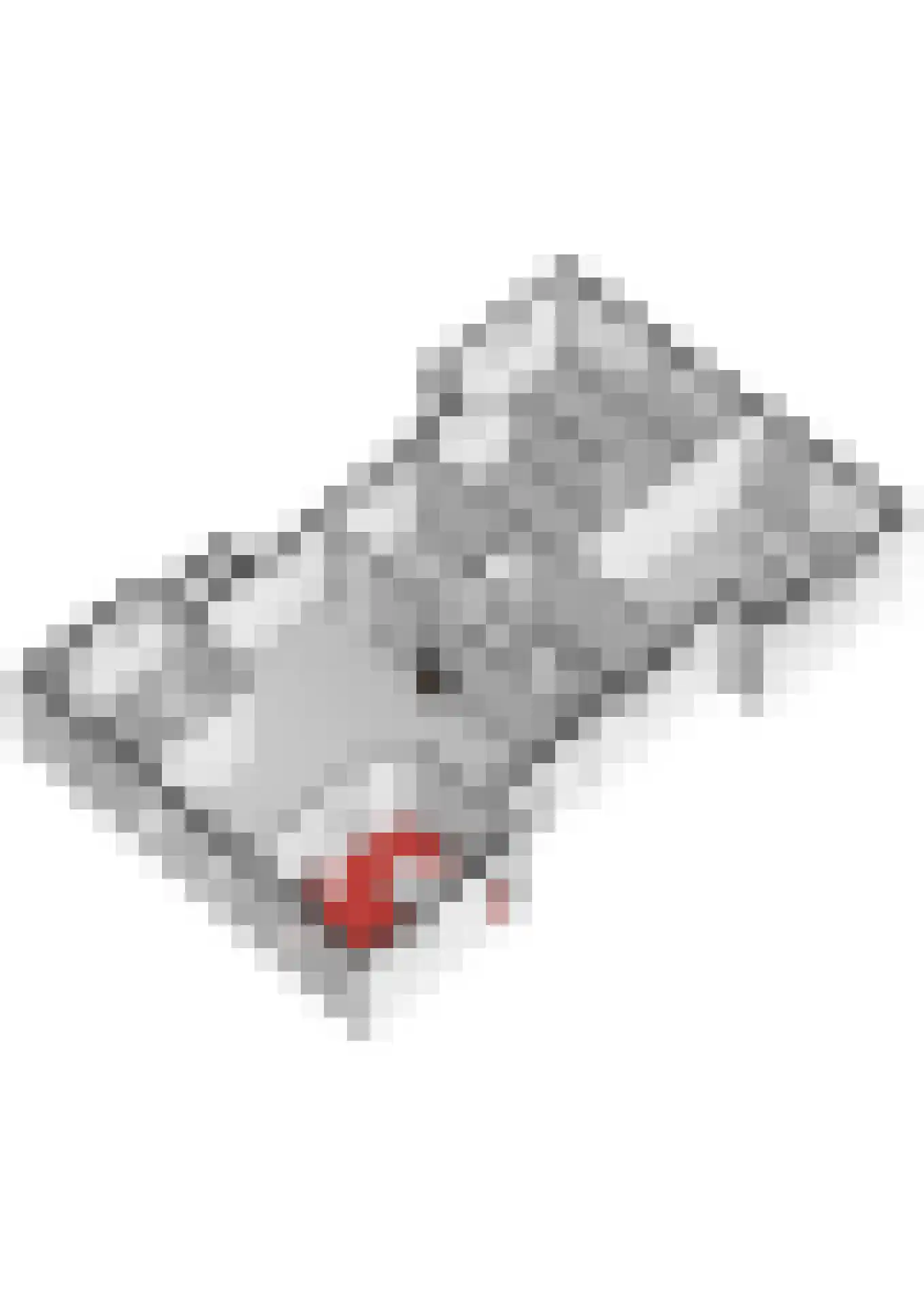 Mauritsweg 12 Ridderkerk thumbnail 83