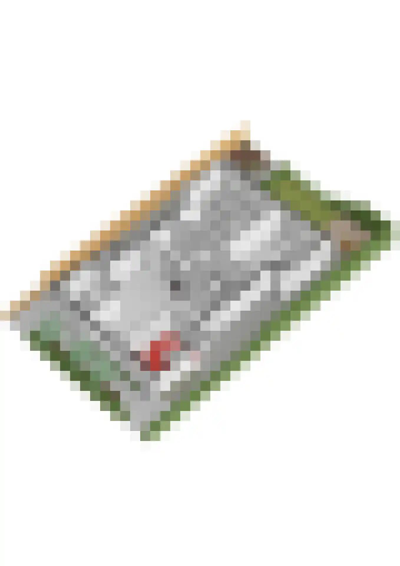 Mauritsweg 12 Ridderkerk thumbnail 85