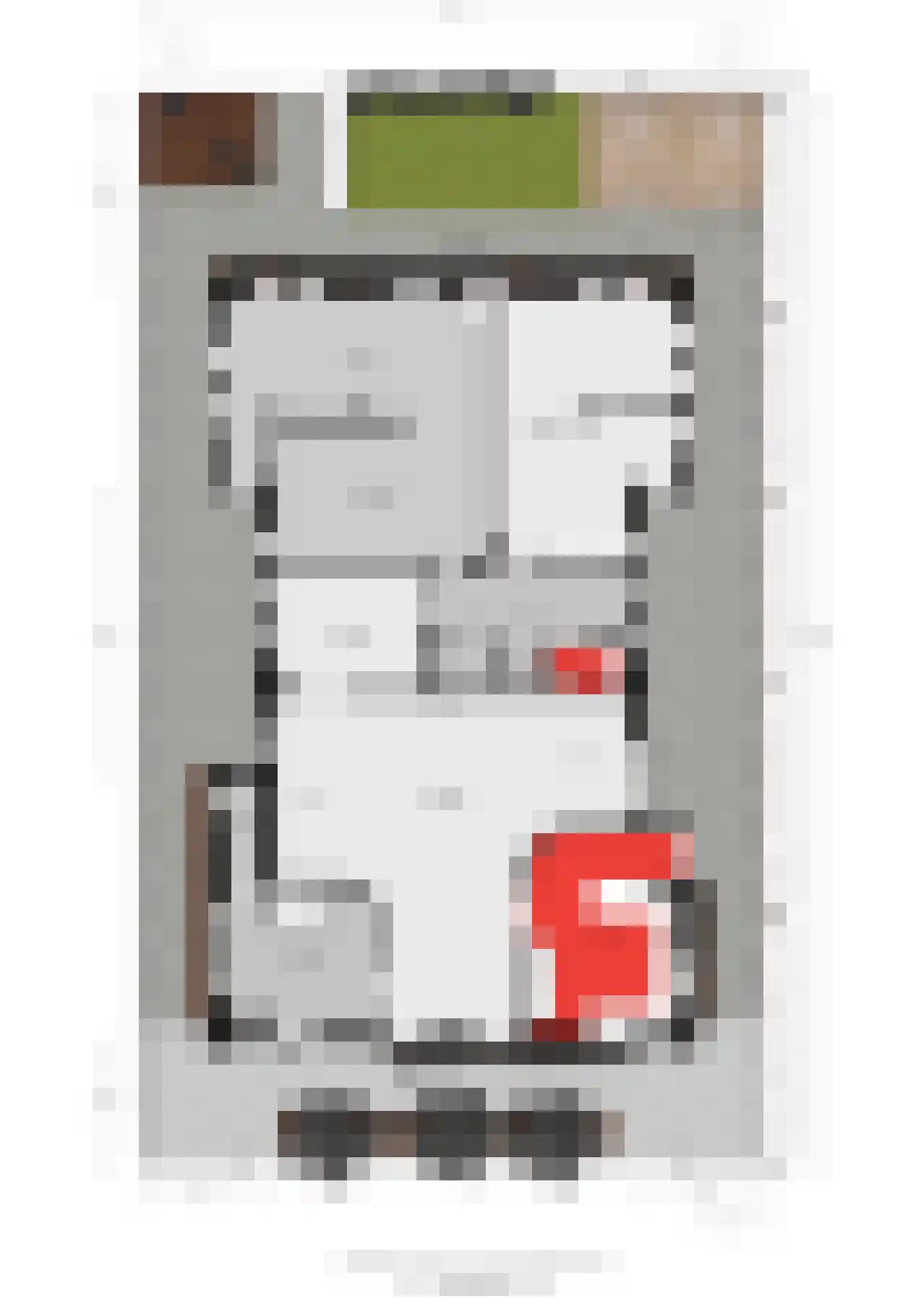 Mauritsweg 12 Ridderkerk thumbnail 89