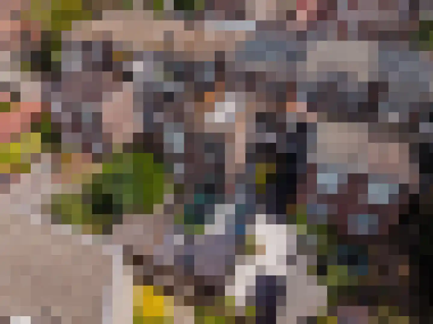 Mauritsweg 13 Dordrecht thumbnail 43