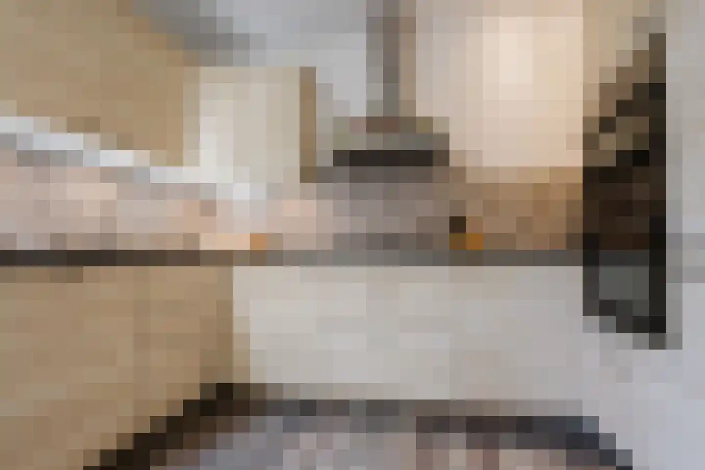 Mauritsweg 13 Dordrecht thumbnail 8