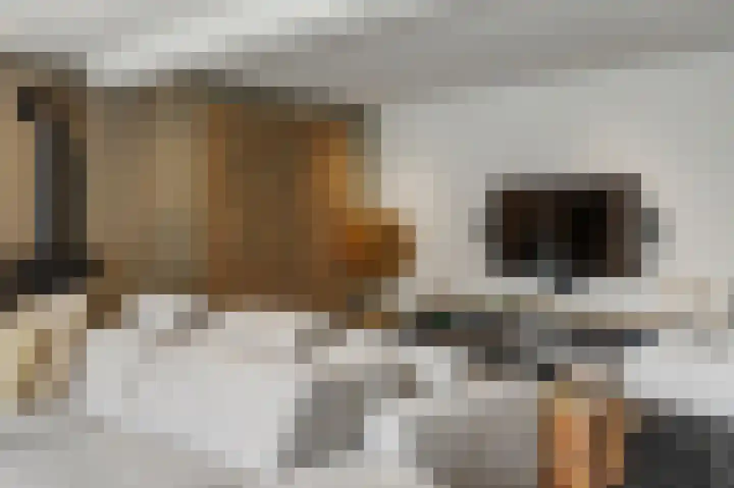 Mauritsweg 14 Geertruidenberg thumbnail 10