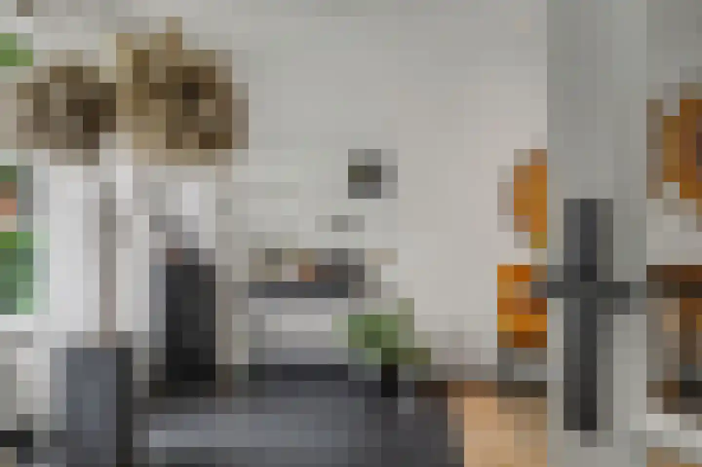 Mauritsweg 14 Geertruidenberg thumbnail 11