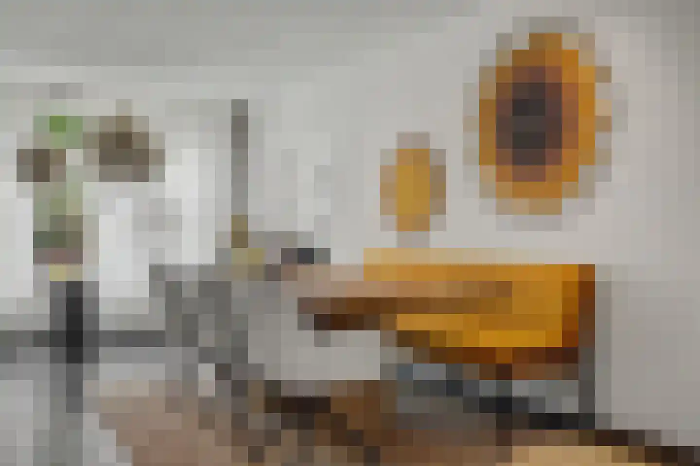Mauritsweg 14 Geertruidenberg thumbnail 13