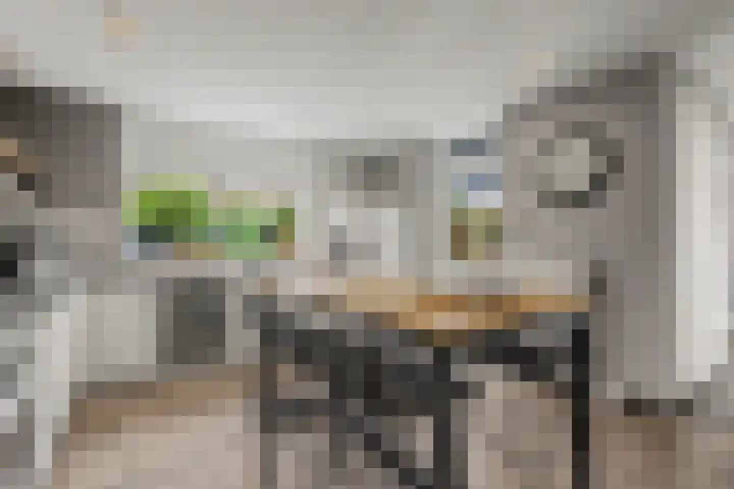 Mauritsweg 14 Geertruidenberg thumbnail 16