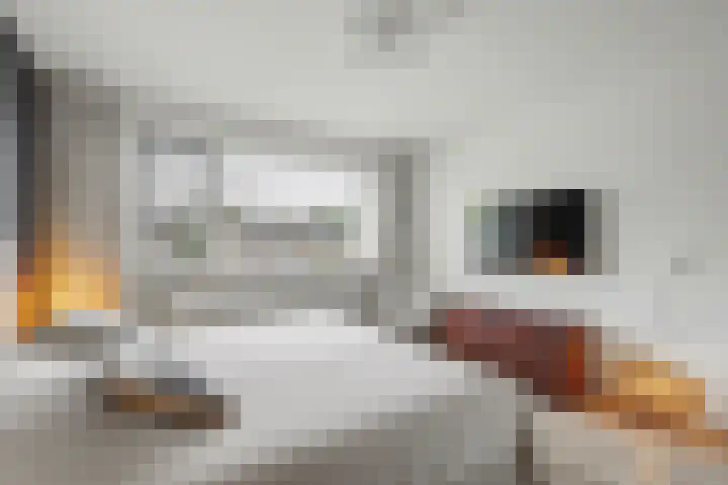 Mauritsweg 14 Geertruidenberg thumbnail 29