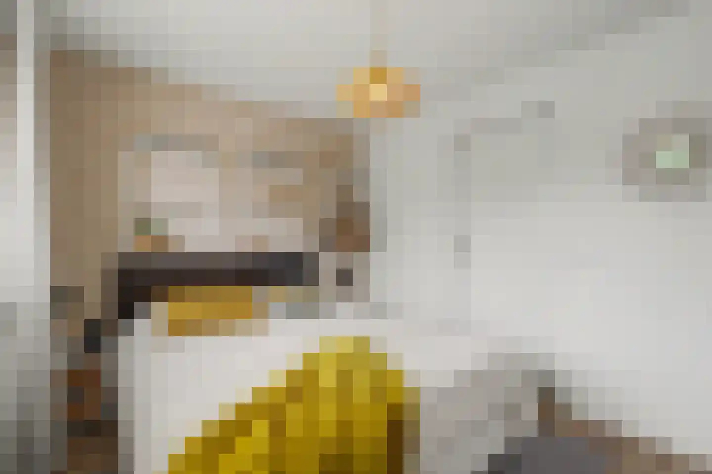 Mauritsweg 14 Geertruidenberg thumbnail 31