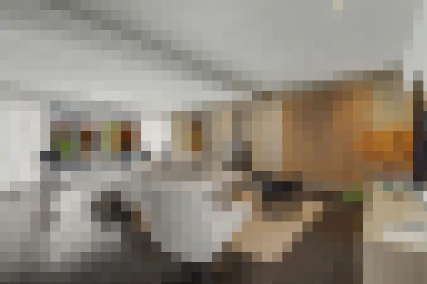 Mauritsweg 14 Geertruidenberg thumbnail 4