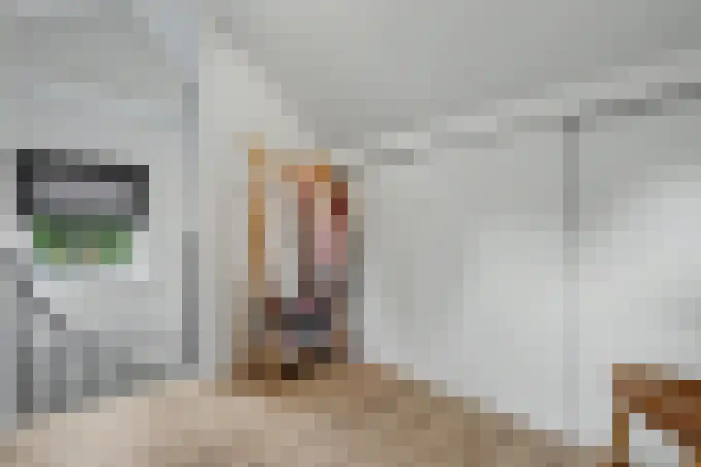 Mauritsweg 14 Geertruidenberg thumbnail 42