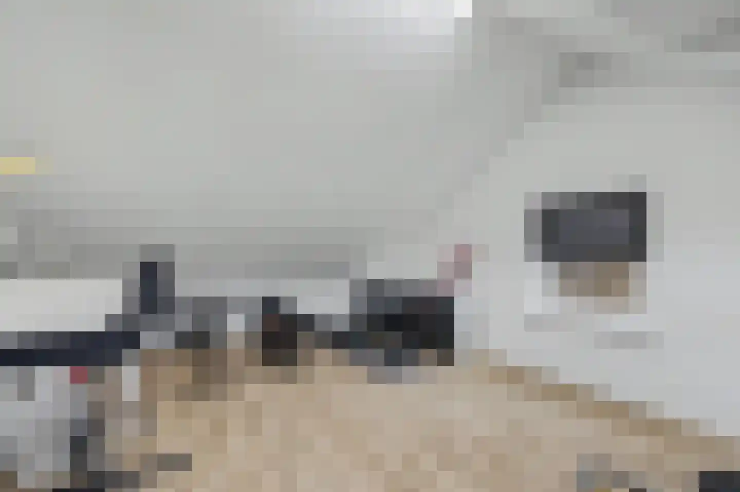 Mauritsweg 14 Geertruidenberg thumbnail 43