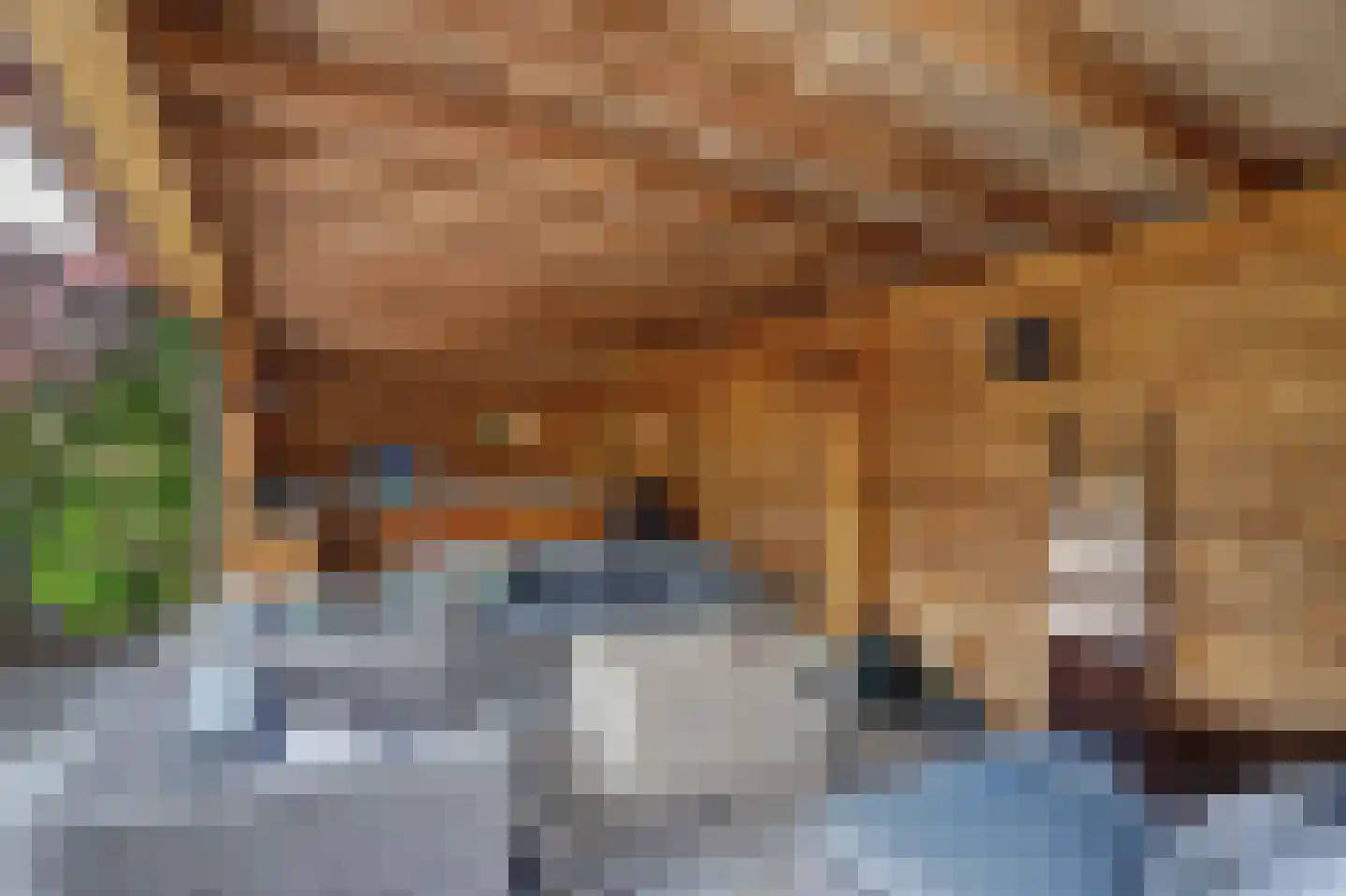 Mauritsweg 14 Geertruidenberg thumbnail 45