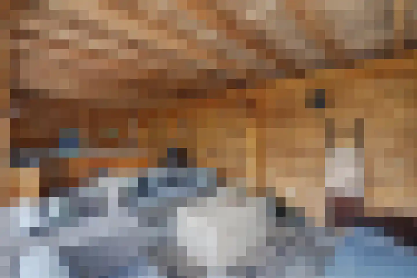 Mauritsweg 14 Geertruidenberg thumbnail 46