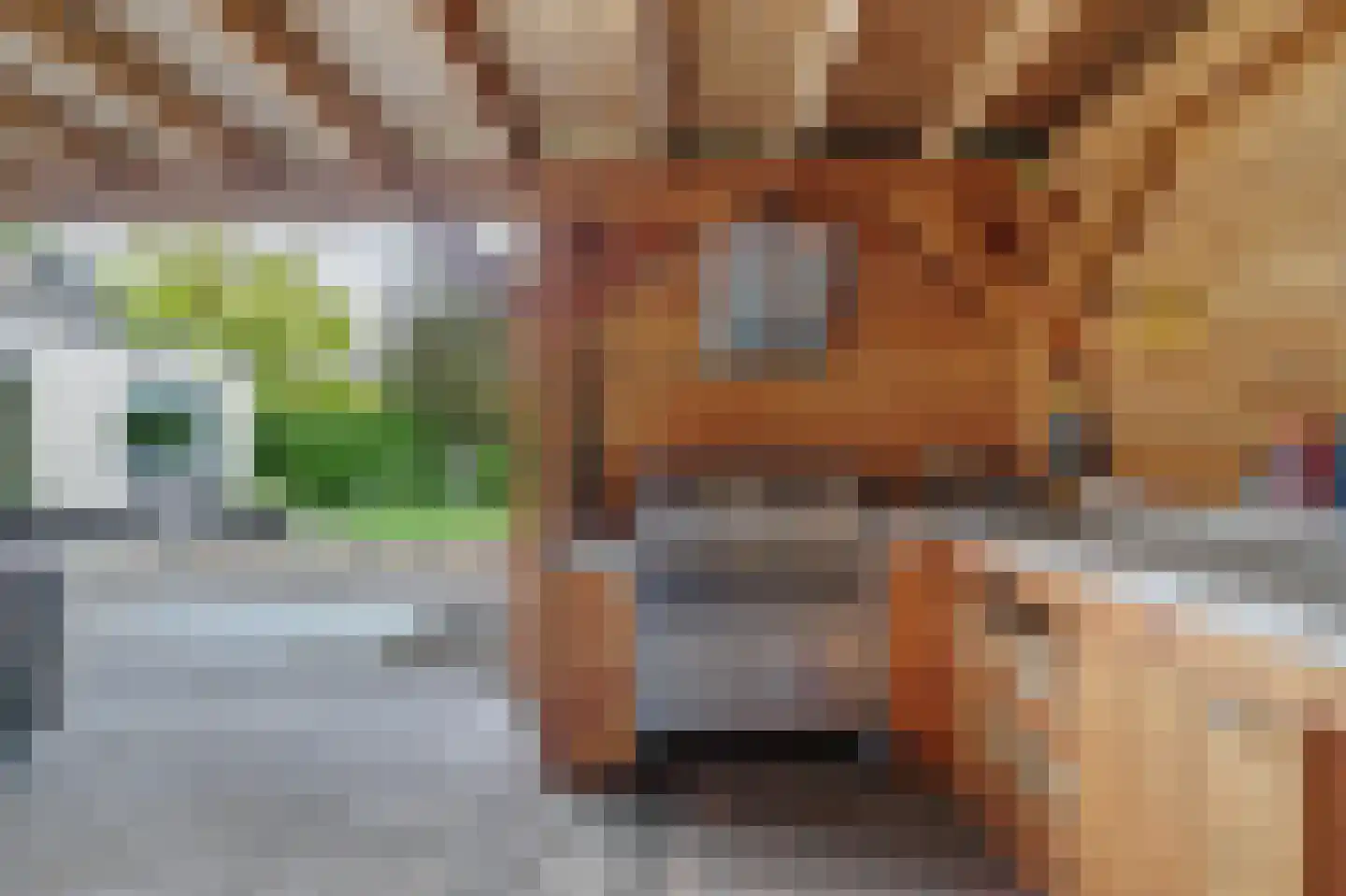 Mauritsweg 14 Geertruidenberg thumbnail 50