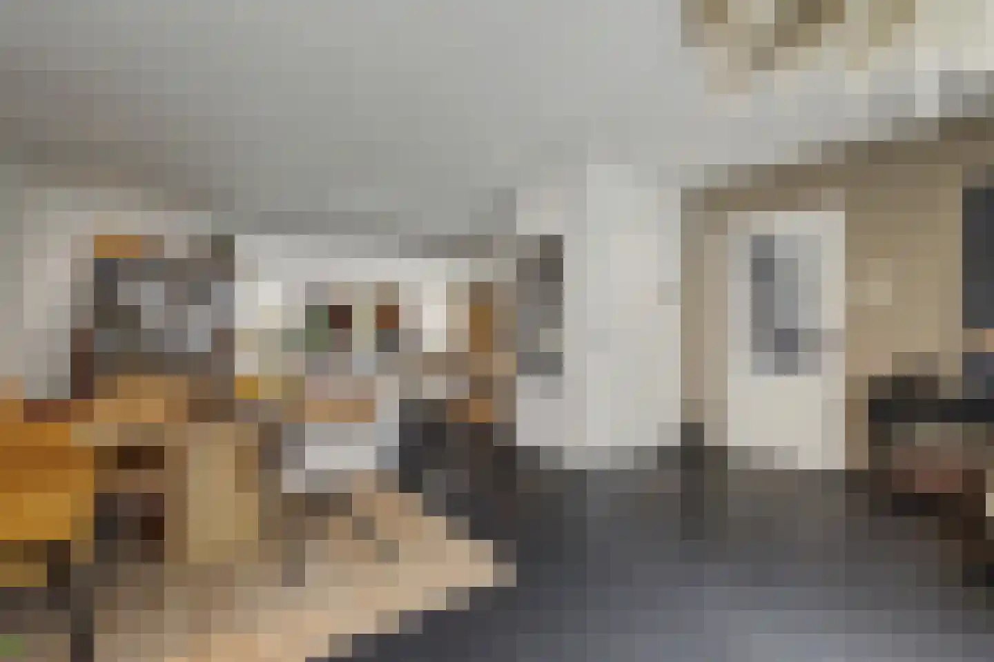 Mauritsweg 14 Geertruidenberg thumbnail 7