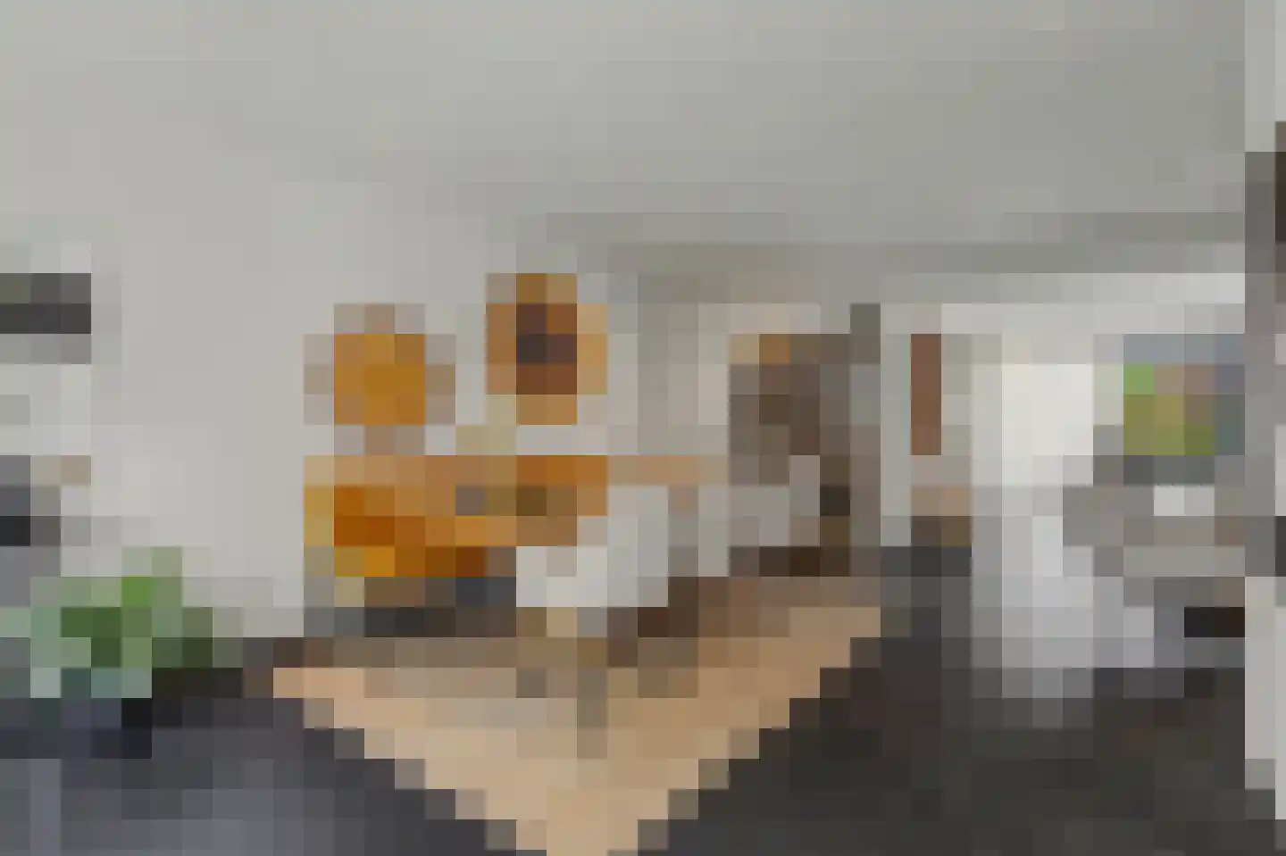 Mauritsweg 14 Geertruidenberg thumbnail 8
