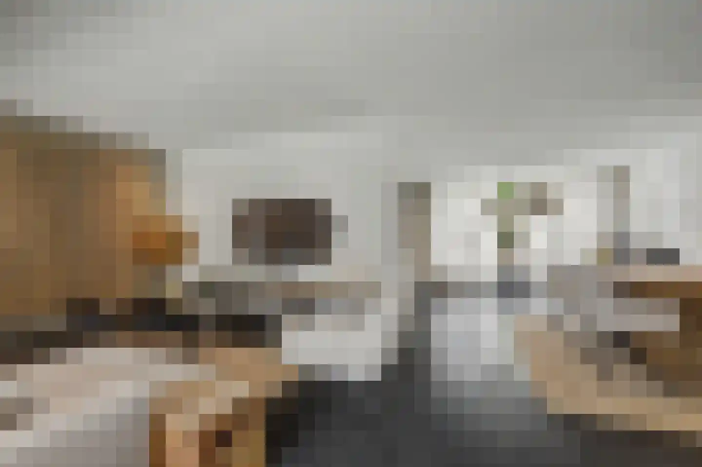 Mauritsweg 14 Geertruidenberg thumbnail 9