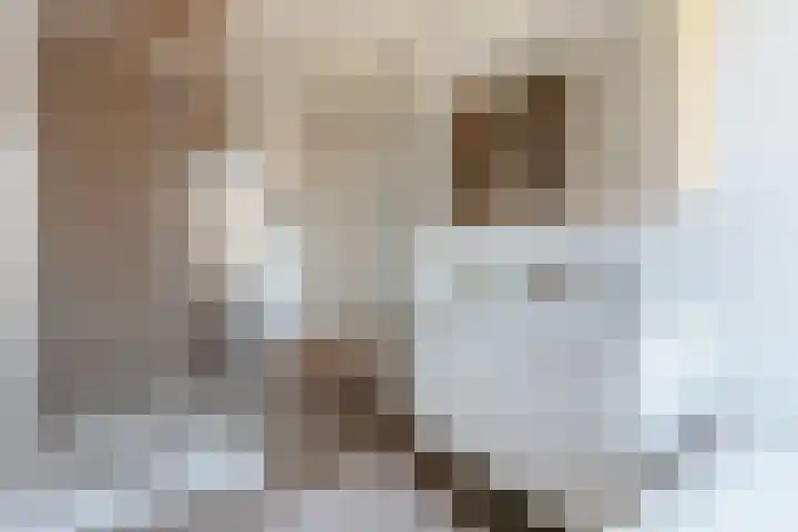 Mauritsweg 2 Sittard thumbnail 18