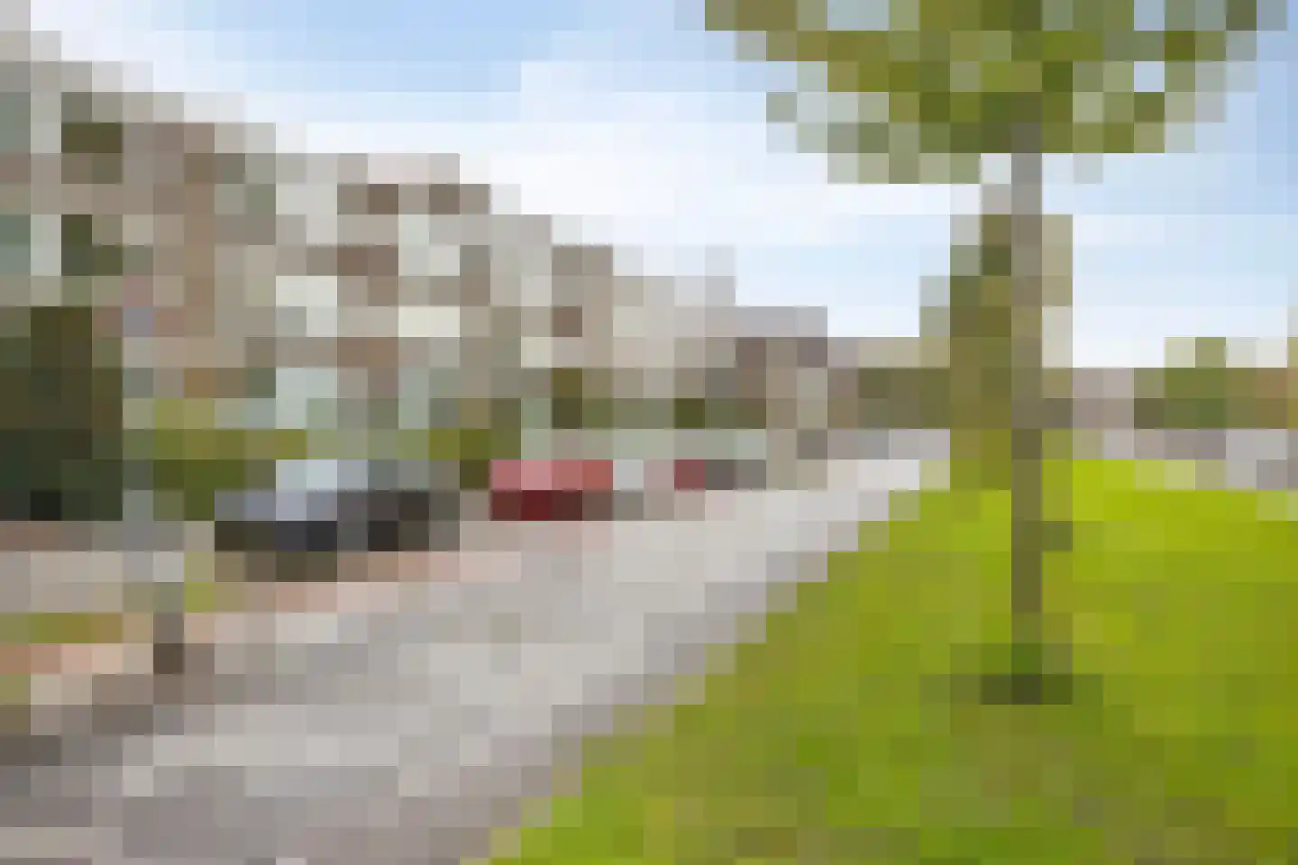 Mauritsweg 204 Dordrecht thumbnail 33