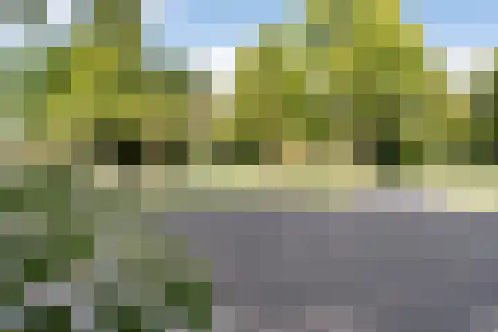 Mauritsweg 270 Dordrecht thumbnail 40