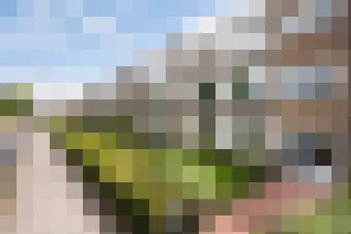 Mauritsweg 270 Dordrecht thumbnail 42