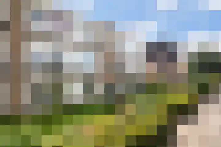 Mauritsweg 270 Dordrecht thumbnail 5