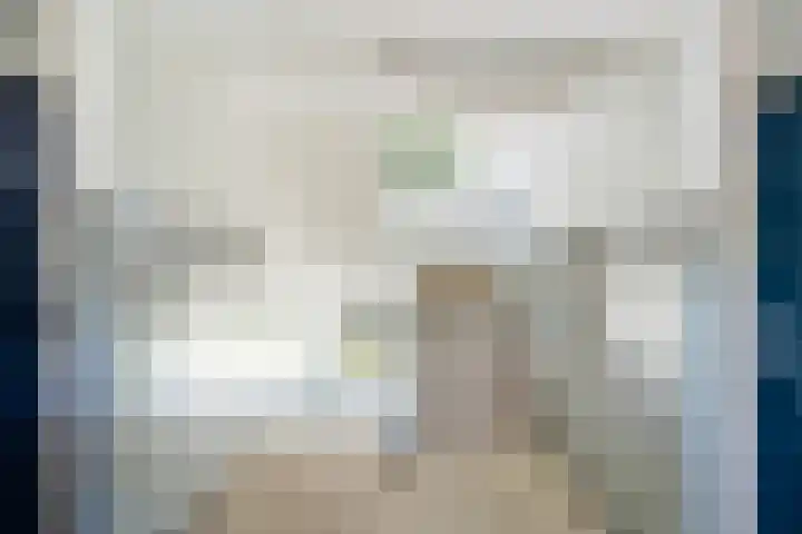 Mauritsweg 270 Dordrecht thumbnail 7