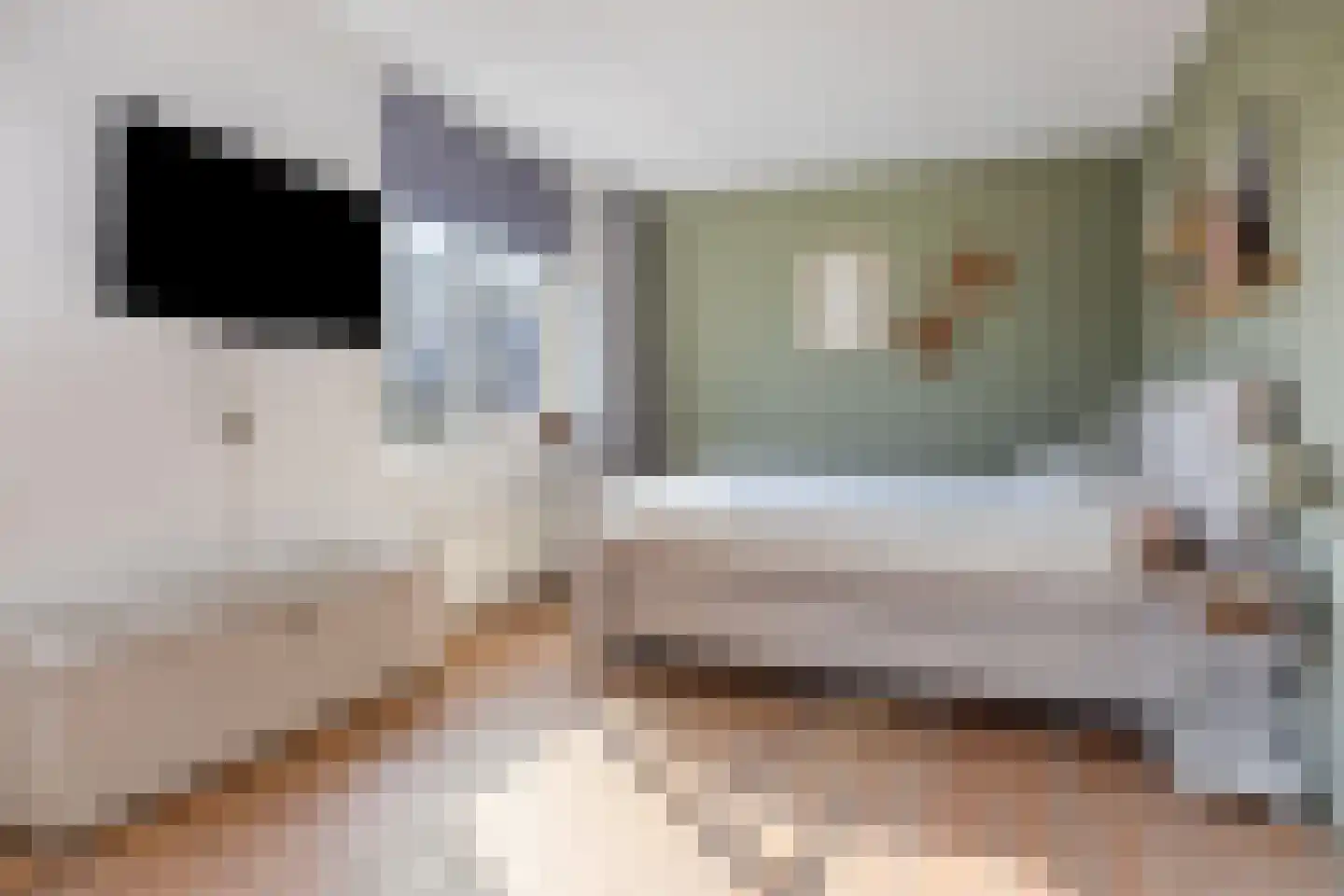 Mauritsweg 3 Noordwolde thumbnail 12