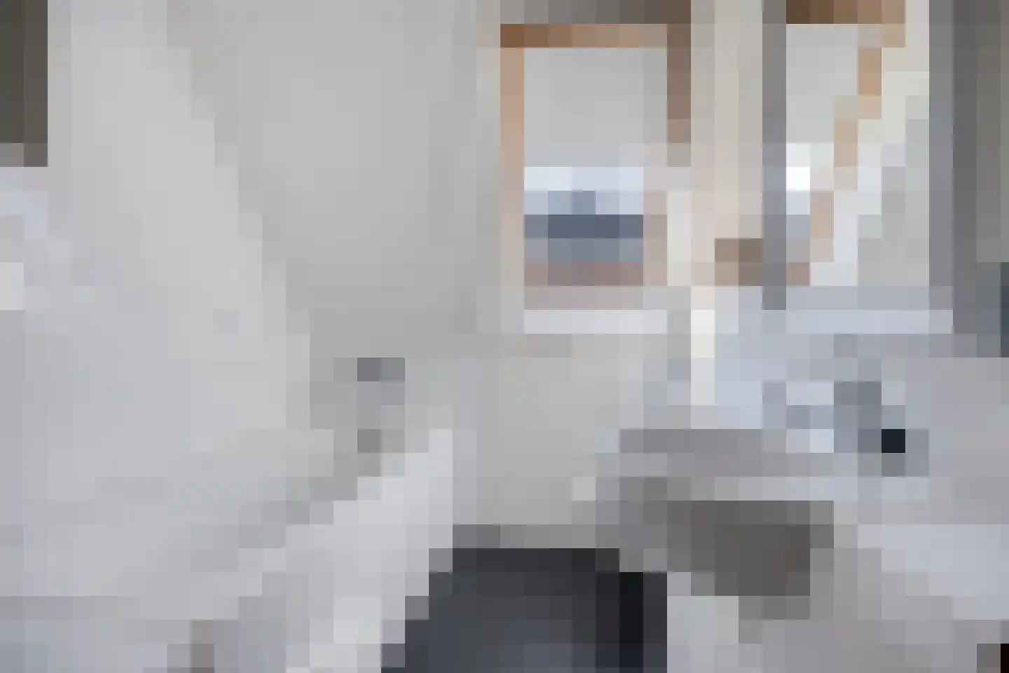 Mauritsweg 3 Noordwolde thumbnail 25