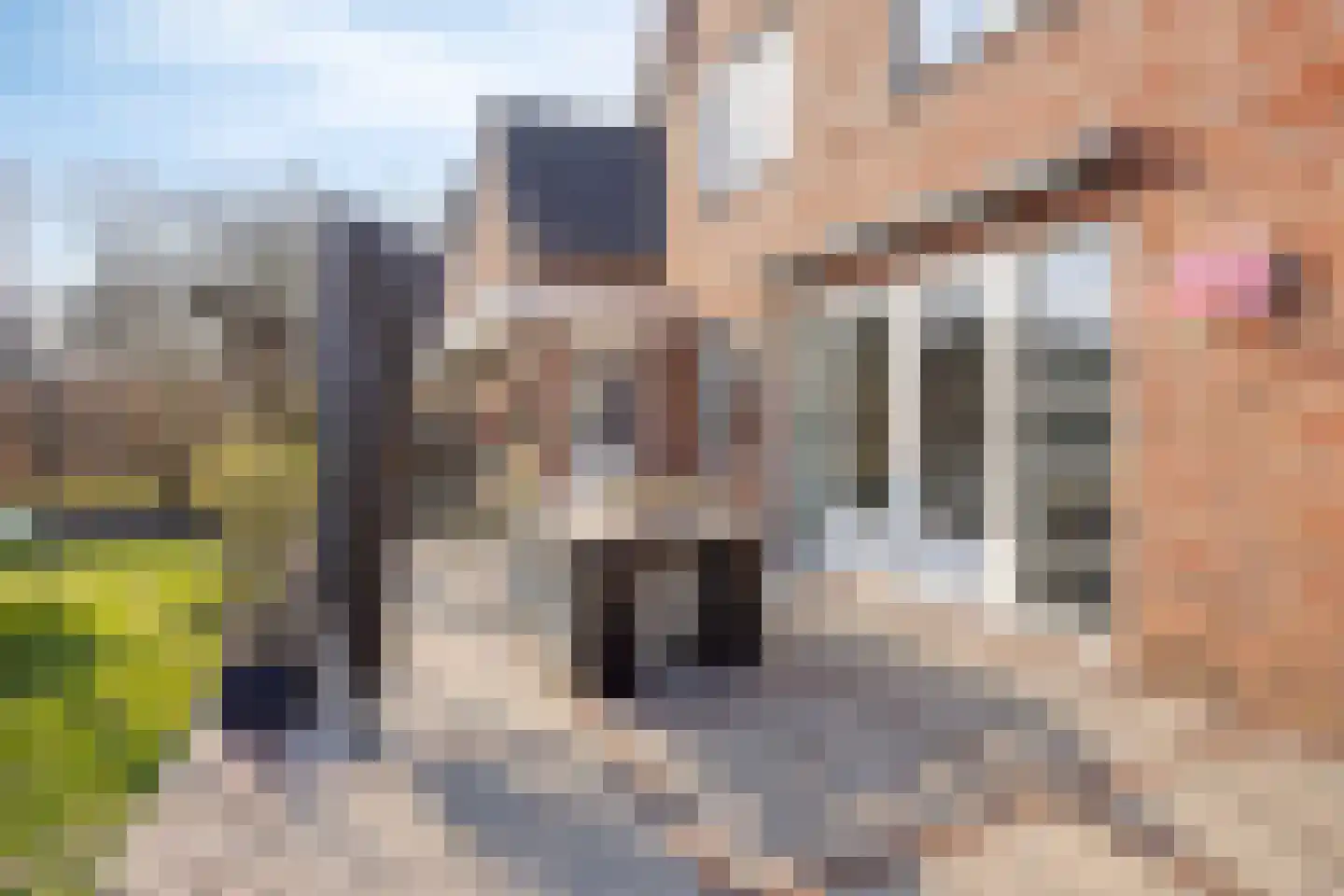 Mauritsweg 3 Noordwolde thumbnail 29