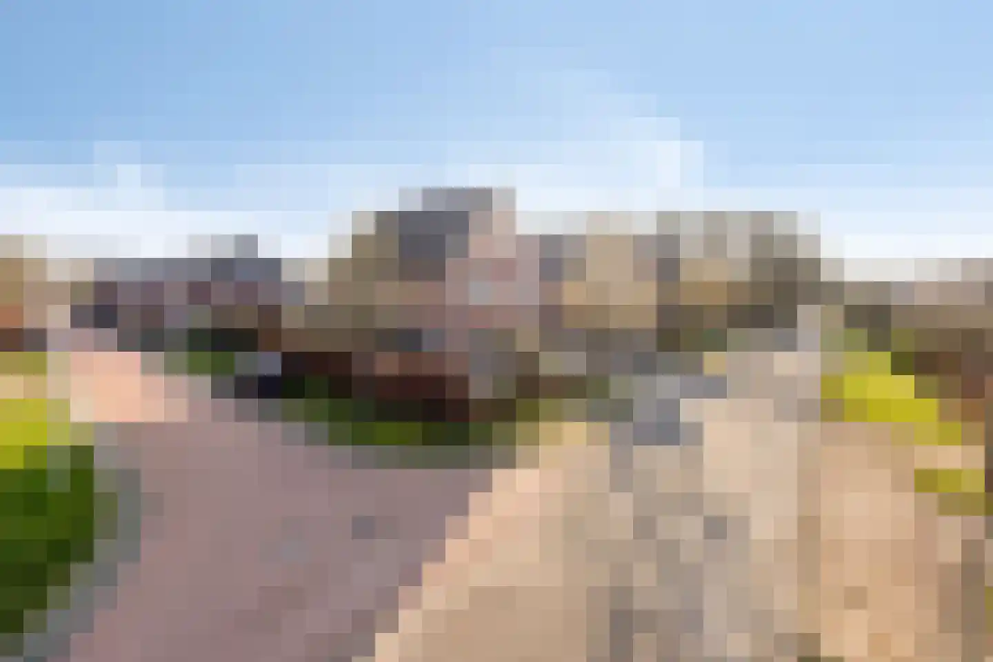 Mauritsweg 3 Noordwolde thumbnail 35