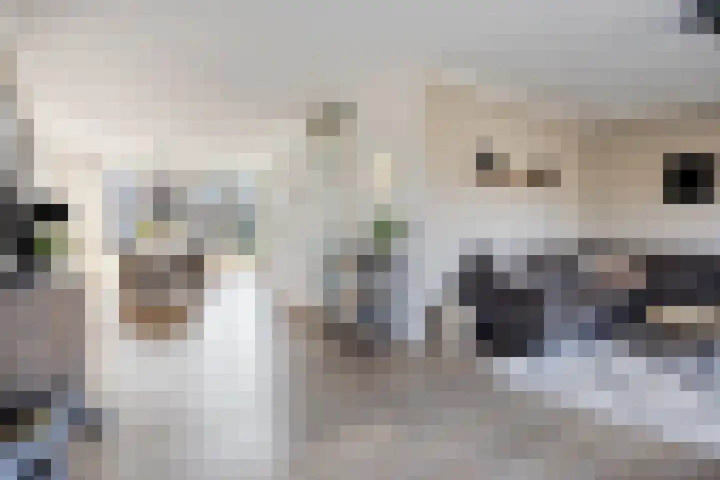 Mauritsweg 3 Noordwolde thumbnail 4