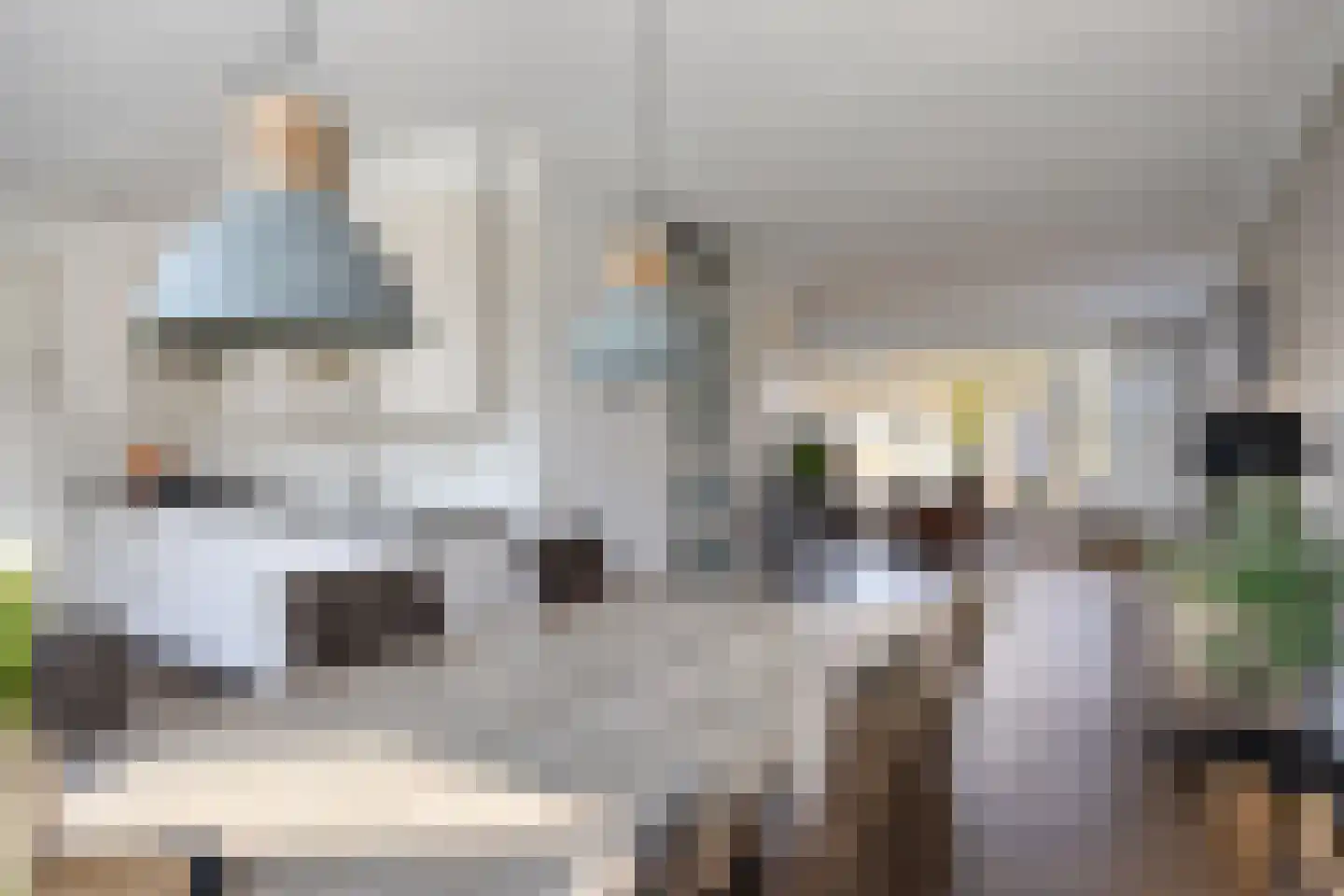 Mauritsweg 3 Noordwolde thumbnail 7