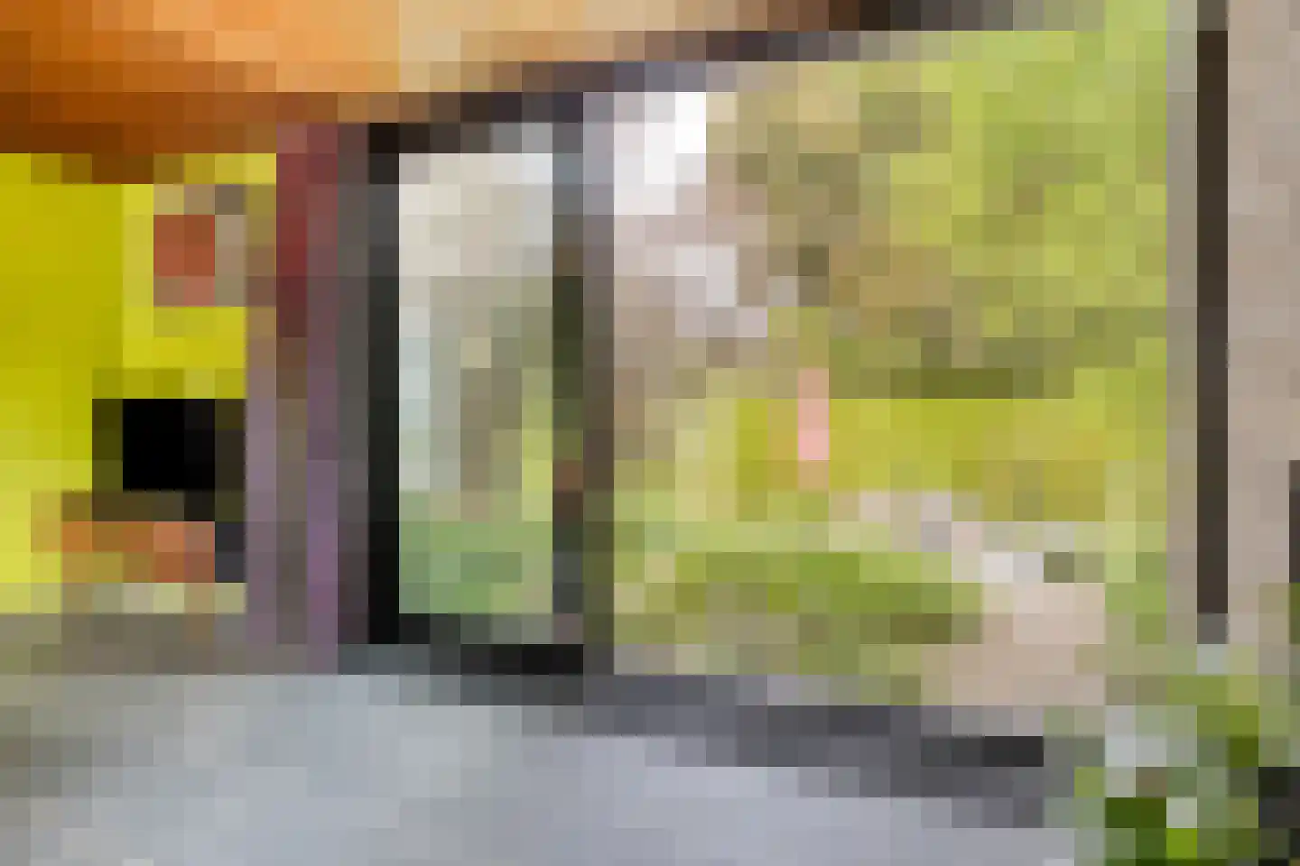 Mauritsweg 36 Stein thumbnail 17