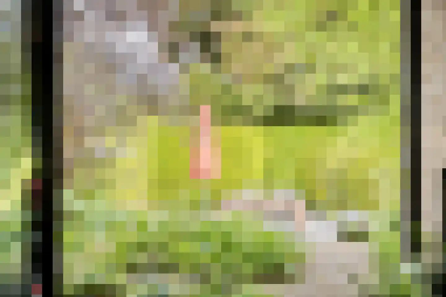 Mauritsweg 36 Stein thumbnail 18