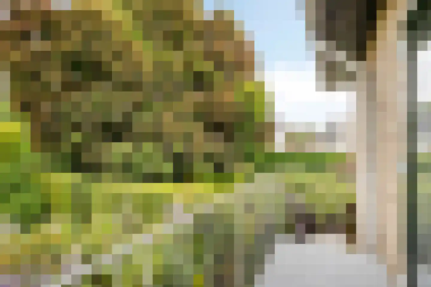 Mauritsweg 36 Stein thumbnail 36