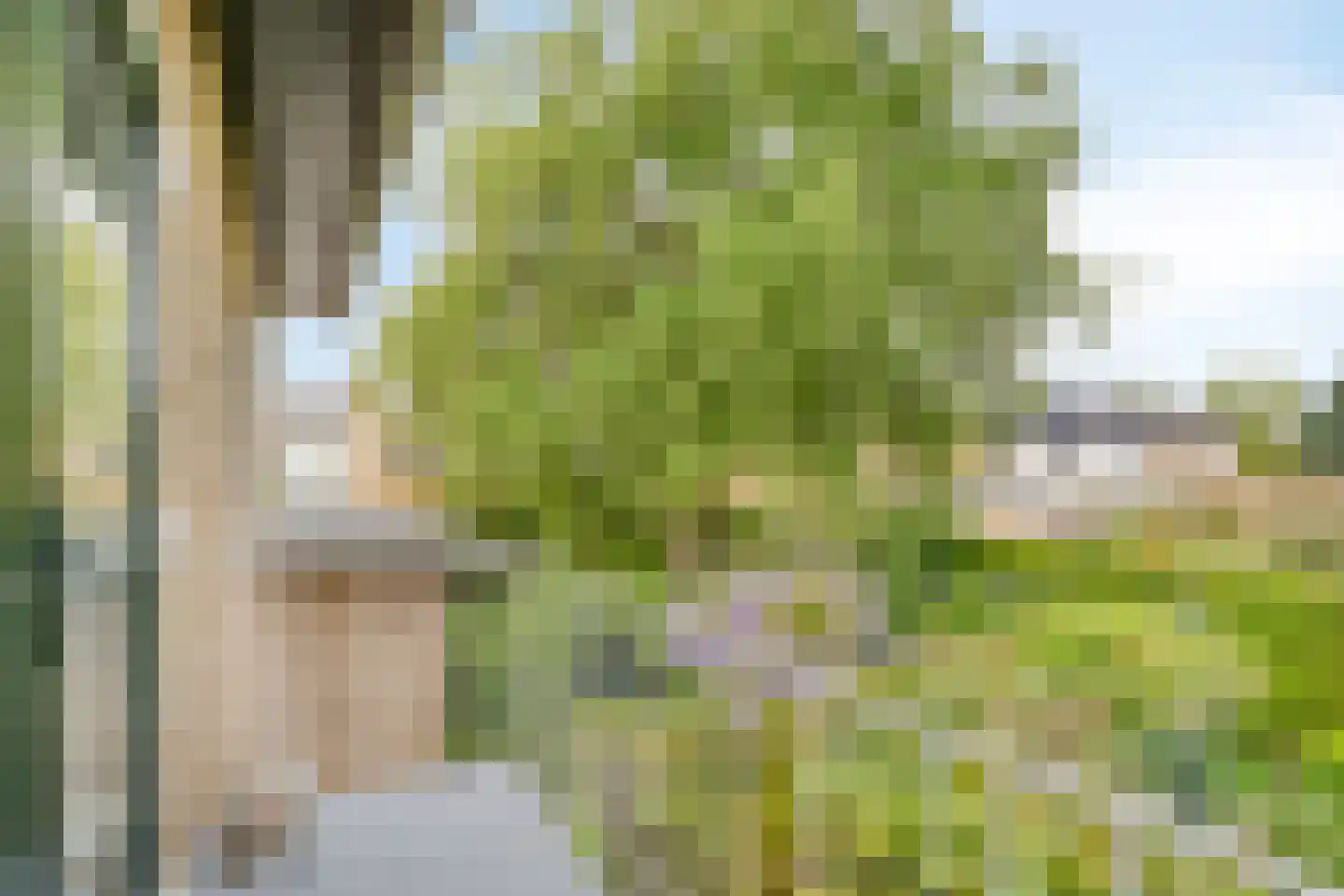 Mauritsweg 36 Stein thumbnail 37