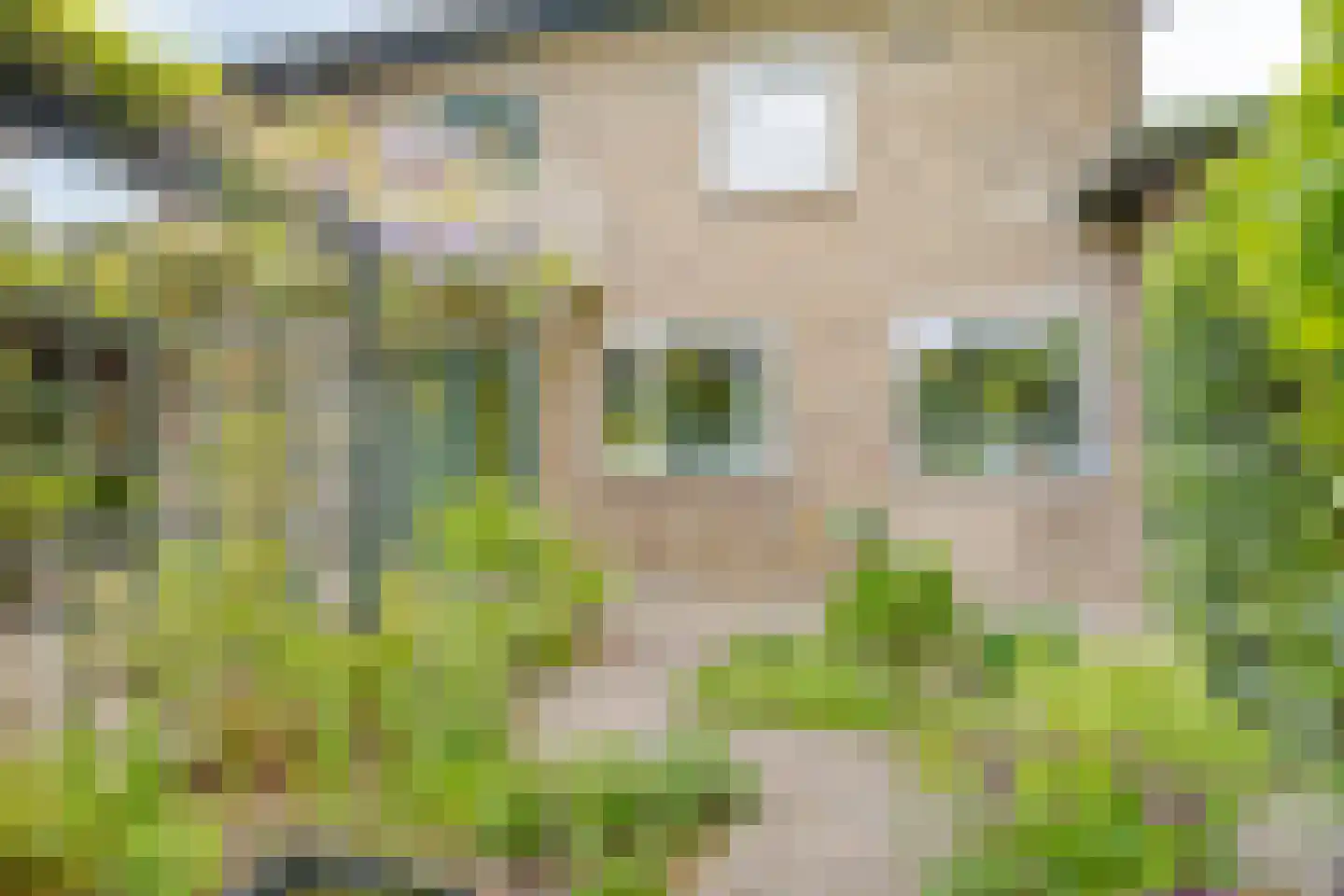 Mauritsweg 36 Stein thumbnail 51