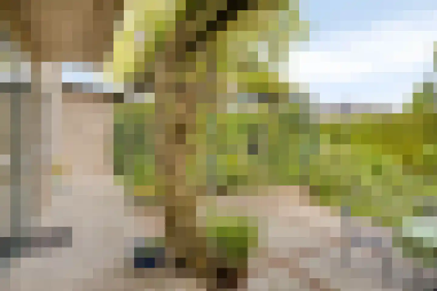 Mauritsweg 36 Stein thumbnail 52
