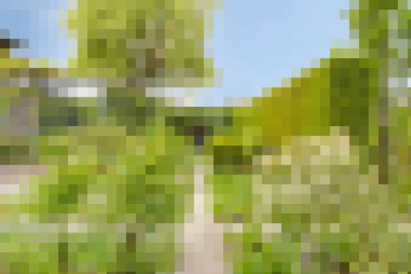 Mauritsweg 36 Stein thumbnail 54