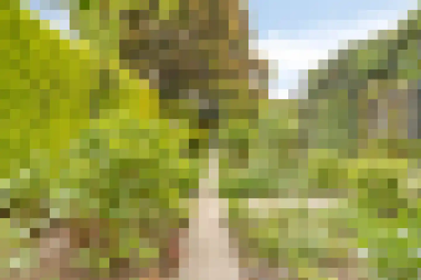 Mauritsweg 36 Stein thumbnail 55