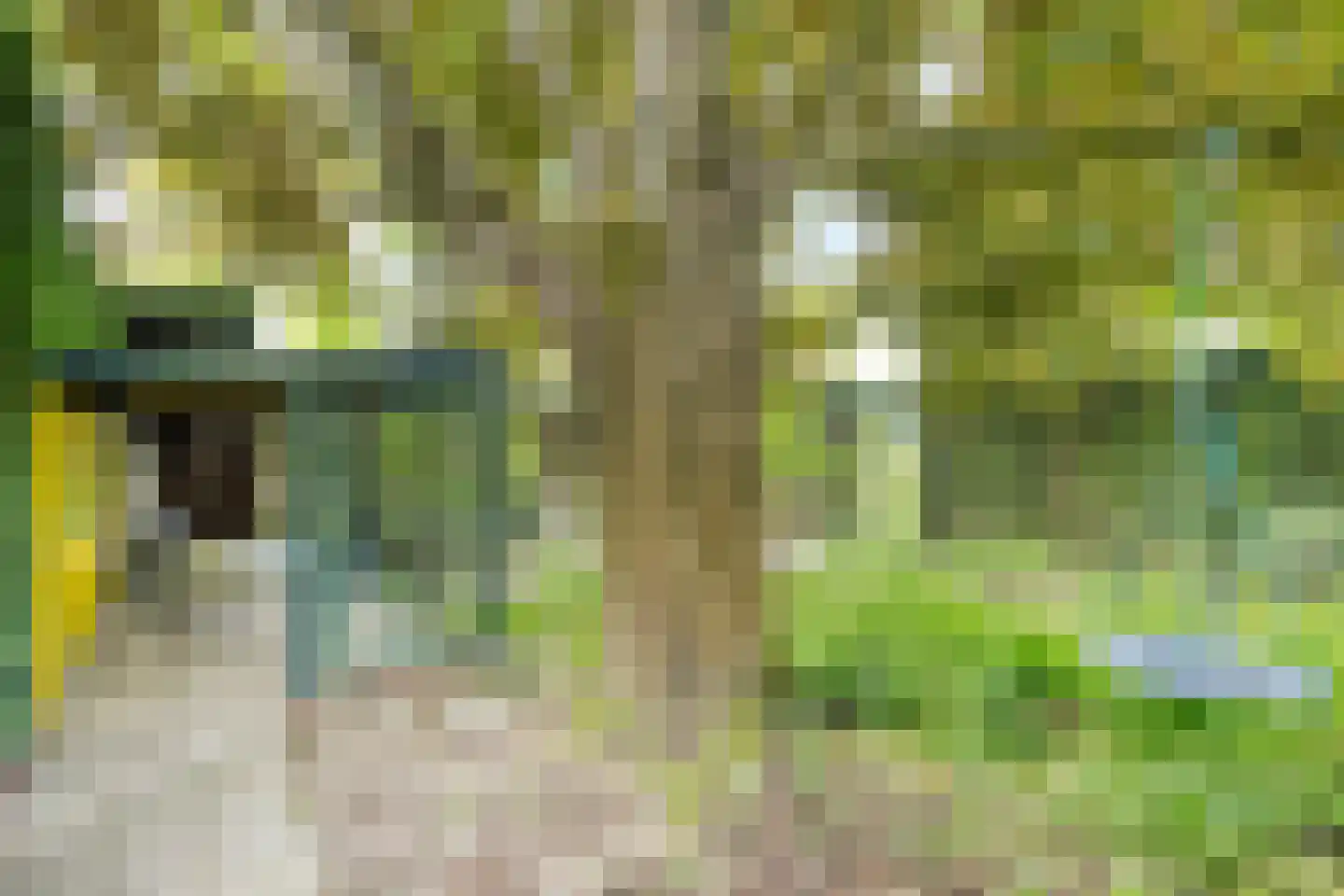 Mauritsweg 36 Stein thumbnail 57