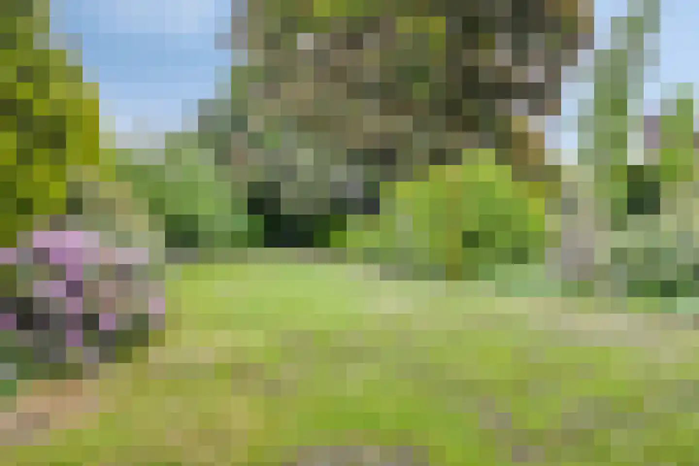 Mauritsweg 36 Stein thumbnail 59