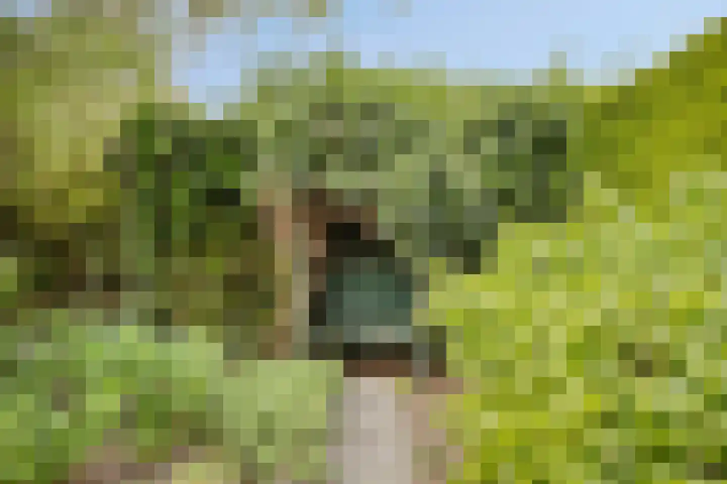 Mauritsweg 36 Stein thumbnail 65